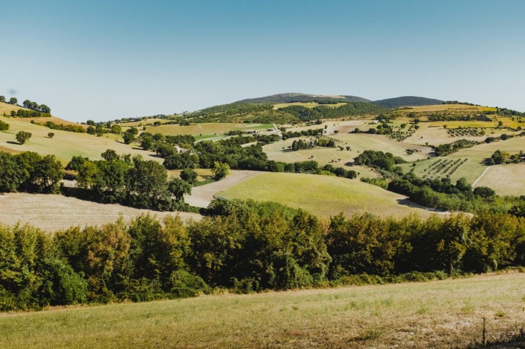 Rolling-Hills-Le-Marche-Region