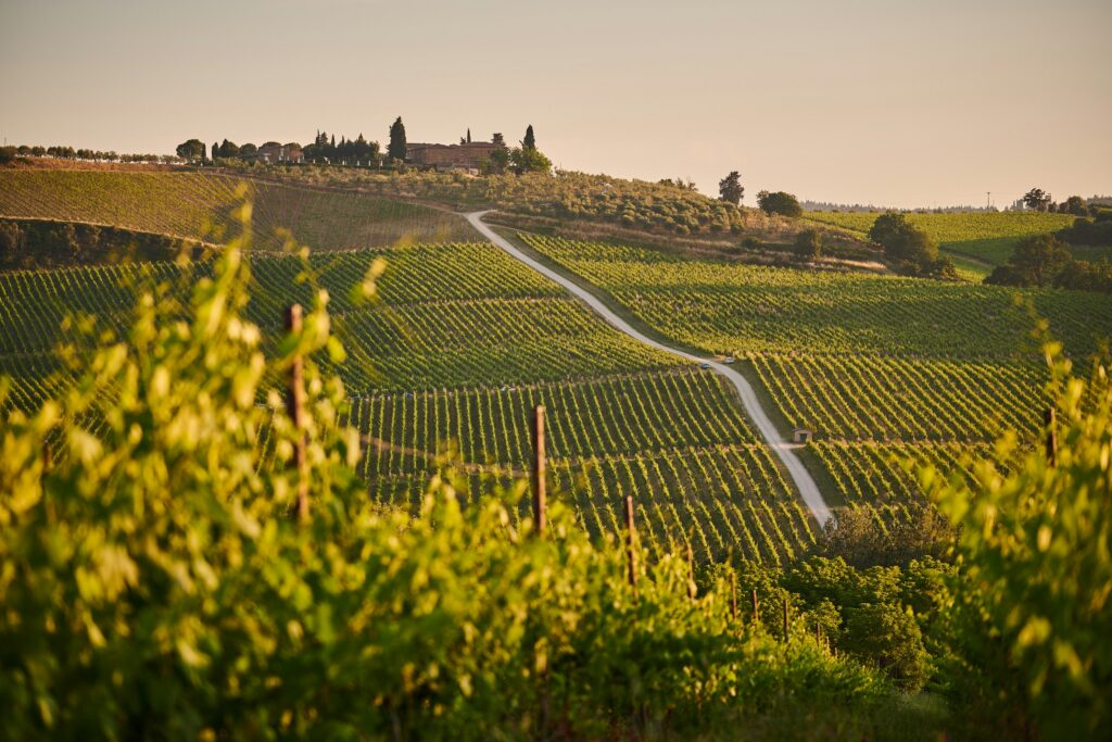 Chianti Tuscany